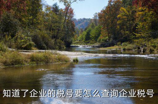 國際企業(yè)稅號(hào)如何查詢系統(tǒng)，美國客戶的稅號(hào)怎么網(wǎng)上查嗎
