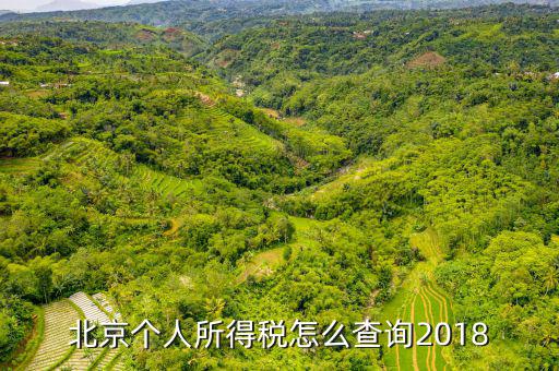 北京個(gè)人所得稅怎么查詢(xún)2018