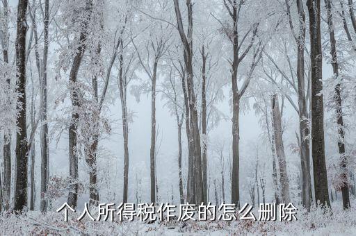 如何刪除已審核的地稅報(bào)表，已遞上的地稅網(wǎng)上財(cái)務(wù)報(bào)表系統(tǒng)的報(bào)表能否刪除