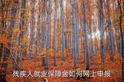 安徽殘疾人保障金如何網(wǎng)上申報，殘疾人就業(yè)保障金如何網(wǎng)上申報