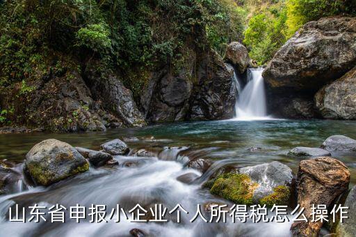 山東省如何網(wǎng)上申報所得稅，山東國稅2008年度企業(yè)所得稅實行網(wǎng)上申報