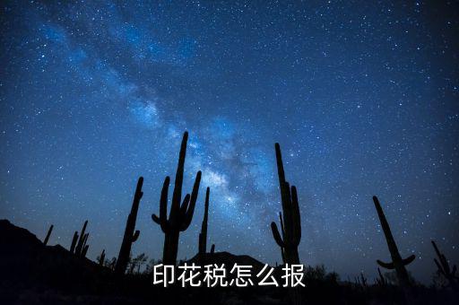 如何國稅申報印花稅，印花稅怎么報