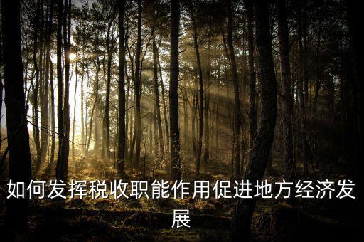 如何發(fā)揮稅收職能作用促進地方經(jīng)濟發(fā)展
