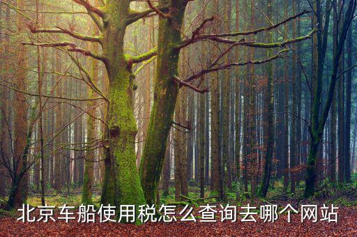 北京車船稅如何查詢系統(tǒng)，北京車船使用稅怎么查詢交沒交