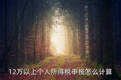 12萬個(gè)人申報(bào)如何計(jì)算，如何計(jì)算12萬元個(gè)人所得稅申報(bào)表