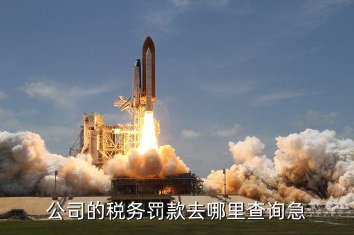 如何查稅收罰款，公司的稅務(wù)罰款去哪里查詢急