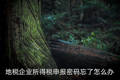 南京地稅密碼如何重置，個人所得稅忘記密碼之后如何進行重置呢