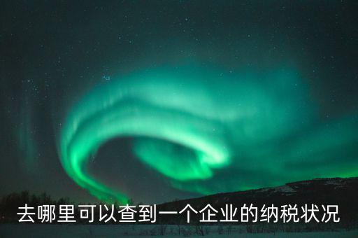 企業(yè)在哪納稅如何查，去哪里可以查到一個企業(yè)的納稅狀況