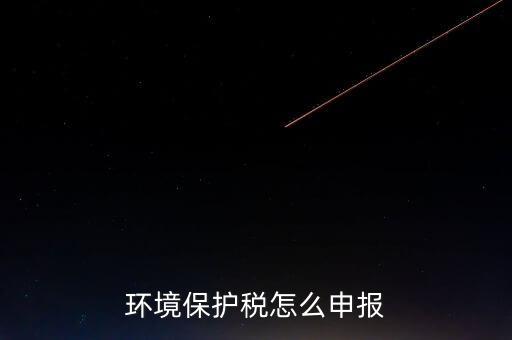 環(huán)境保護(hù)稅b類如何申報，環(huán)境保護(hù)稅怎么申報