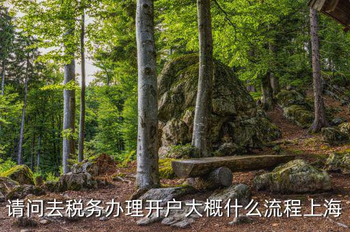 如何辦理稅務(wù)開戶，請問去稅務(wù)辦理開戶大概什么流程上海