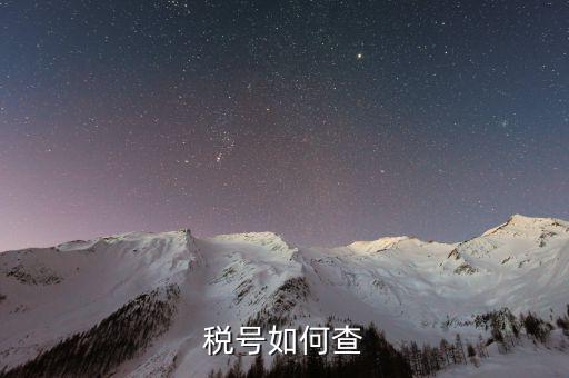 如何查詢公司稅務(wù)編號查詢，如何通過企業(yè)注冊號查詢企業(yè)稅務(wù)登記證號
