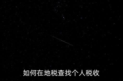 地稅局如何查個人所得稅，如何在地稅查找個人稅收