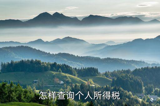 如何查詢個人交稅，個人所得稅繳納記錄怎么查詢