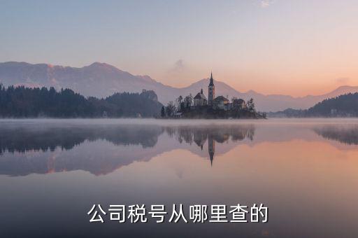 企業(yè)稅號(hào)如何查詢，公司稅號(hào)從哪里查的