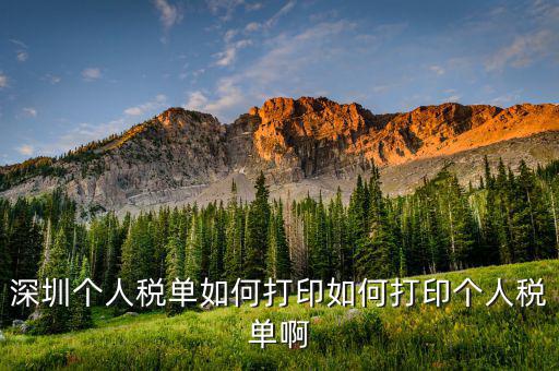 深圳網(wǎng)上如何打印稅單，怎樣在網(wǎng)上打印稅單我是深圳寶安區(qū)的