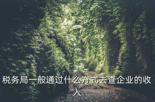 稅務(wù)如何統(tǒng)計(jì)收入，小規(guī)模增值稅季報(bào)在哪里統(tǒng)計(jì)收入