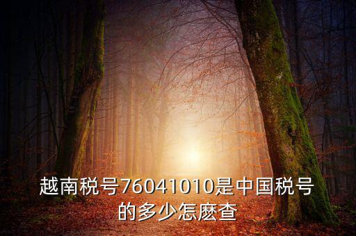 中國如何查個(gè)人稅號(hào)，越南稅號(hào)76041010是中國稅號(hào)的多少怎麼查