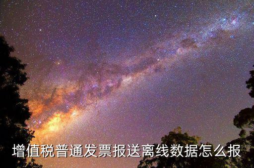 如何報(bào)送發(fā)票數(shù)據(jù)，河北國(guó)稅普通發(fā)票怎么報(bào)送