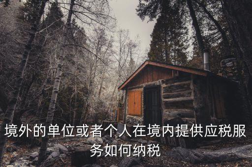 境外機構如何繳納增值稅，來源于境外收入怎么交增值稅