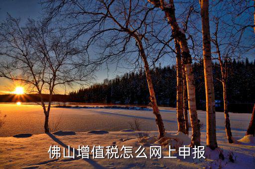 佛山地稅如何網(wǎng)上申報(bào)，佛山增值稅怎么網(wǎng)上申報(bào)