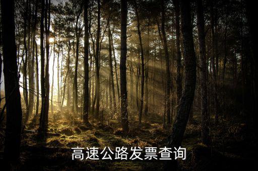 如何知道道路發(fā)票幾級，汽車的增值稅發(fā)票怎么看