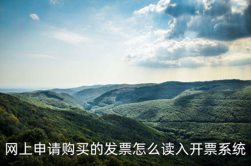 網(wǎng)購發(fā)票如何讀入，網(wǎng)上申請購買的發(fā)票怎么讀入開票系統(tǒng)