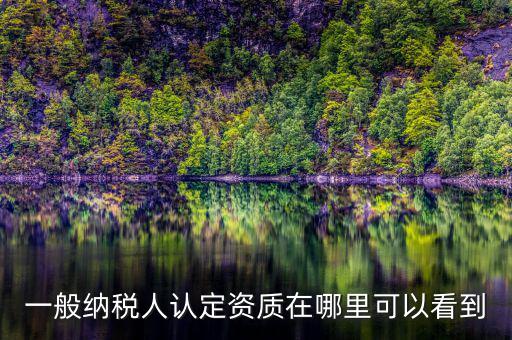 如何查看稅務(wù)資質(zhì)，一般納稅人認(rèn)定資質(zhì)在哪里可以看到