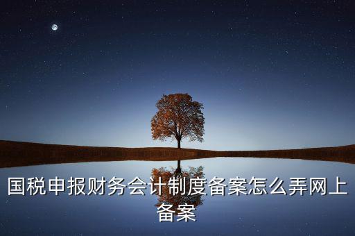 電子稅務(wù)局如何會計制度備案，2017年電子稅務(wù)局財務(wù)報表備案是不是可以馬上填寫