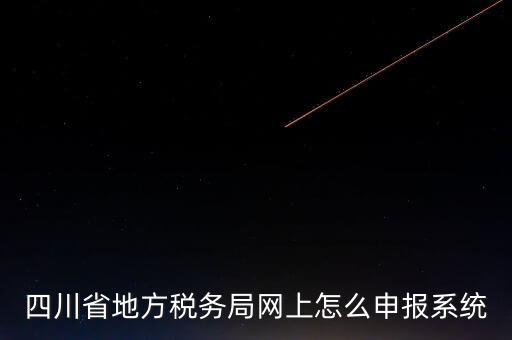 四川省地方稅務(wù)局網(wǎng)上怎么申報(bào)系統(tǒng)