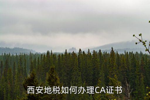 如何申請(qǐng)地稅ca證書(shū)，西安地稅如何辦理CA證書(shū)