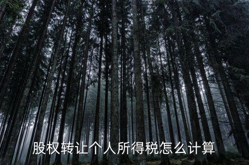 如何計算股權轉(zhuǎn)讓所得稅，股權轉(zhuǎn)讓的個人所得稅怎么計算
