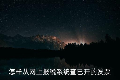 怎樣從網(wǎng)上報稅系統(tǒng)查已開的發(fā)票