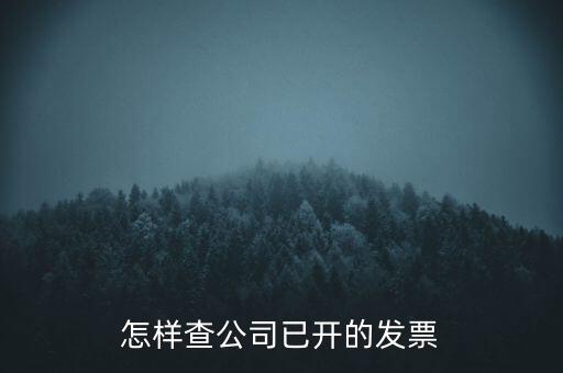 如何查企業(yè)的開票資料，如何查詢其他企業(yè)開具給本企業(yè)的發(fā)票