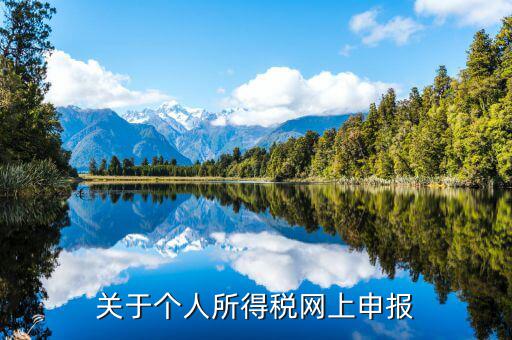 網(wǎng)上如何啟用個(gè)稅，如何打開個(gè)人所得稅申報(bào)表的明細(xì)