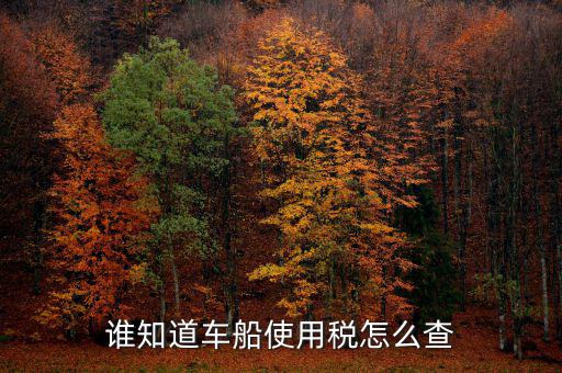 如何查詢自己交車船稅，車船稅交沒交能在網(wǎng)上查詢嗎