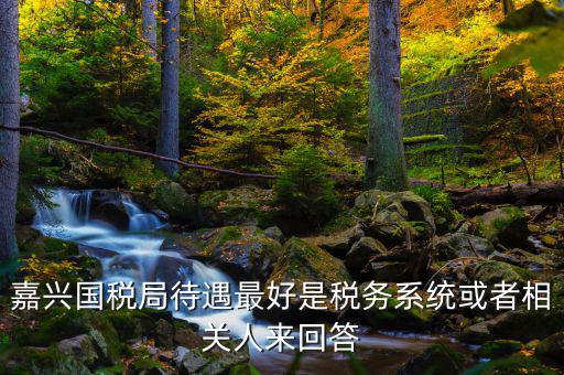 海寧國稅局待遇如何，嘉興經(jīng)開國稅在哪