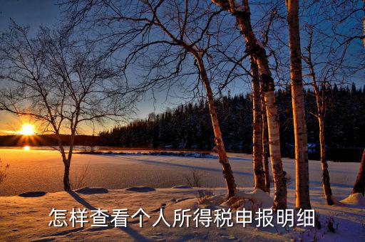 如何查詢個(gè)人所得稅明細(xì)申報(bào)，怎樣查看個(gè)人所得稅申報(bào)明細(xì)