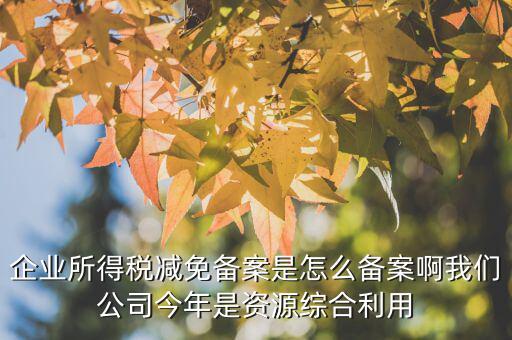如何打印稅收優(yōu)惠備案通知書，減免稅備案登記告知書在哪里打印的