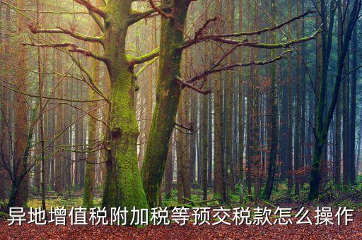 跨區(qū)稅源登記 如何繳納附加稅，異地增值稅附加稅等預(yù)交稅款怎么操作