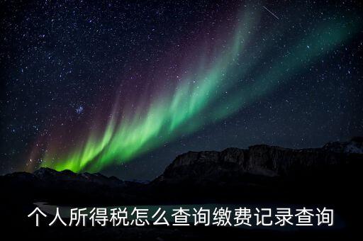 金稅三期個(gè)人所得稅如何查詢，個(gè)人所得稅怎么查詢繳費(fèi)記錄查詢