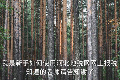 河北省地稅網(wǎng)上申報(bào)如何操作，地稅網(wǎng)上申報(bào)如何操作