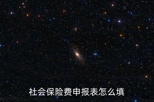 稅務(wù)系統(tǒng)社保費(fèi)申報(bào)表如何填報(bào)，社會(huì)保險(xiǎn)費(fèi)申報(bào)表怎么填