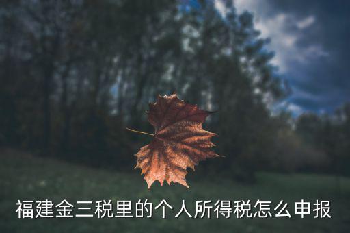 福建企業(yè)個(gè)稅如何申報(bào)系統(tǒng)，福建省2019年企業(yè)所得稅年報(bào) 在哪里報(bào)