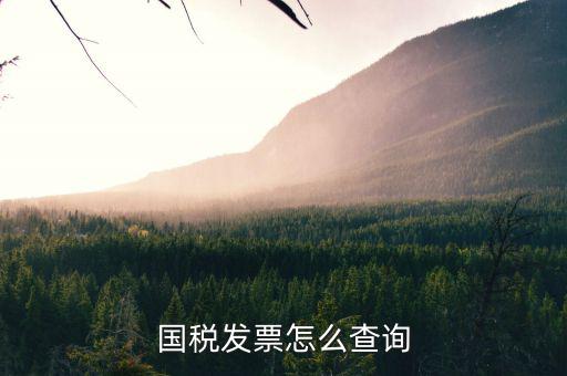 河北省的發(fā)票如何查詢，我的發(fā)票在河北地稅網(wǎng)上可以查到信息都沒(méi)有問(wèn)題但是河北地稅