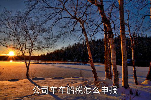 單位汽車的車船稅如何申報，公司車車船稅怎么申報