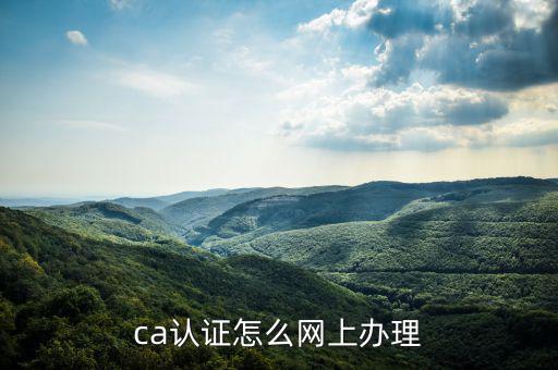 四川網(wǎng)上稅務(wù)如何ca登錄，ca證書如何登錄國稅