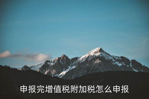 附加稅在國家稅務(wù)局網(wǎng)如何申報表，網(wǎng)上申報城建稅教育附加稅怎么填