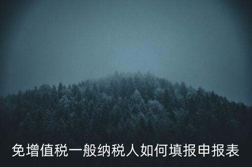免稅如何填寫申報表，免稅企業(yè)如何填報增值稅納稅申報表