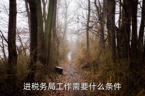 進稅務(wù)局工作需要什么條件