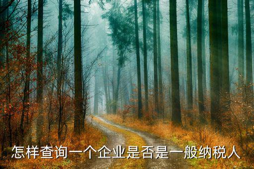遼寧如何查一般納稅人，怎樣查詢一個企業(yè)是否是一般納稅人